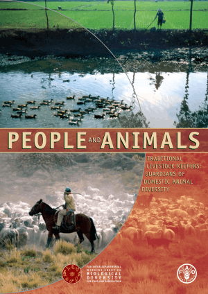 People and Animals Traditional Live Stock Keepers Guardians of Domestic Animal Diversity Edited By Kim Anh Tempelman and Ricardo A. Cardellino