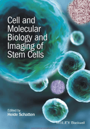 Cell and Molecular Biology and Imaging of Stem Cells By Heide Schatten